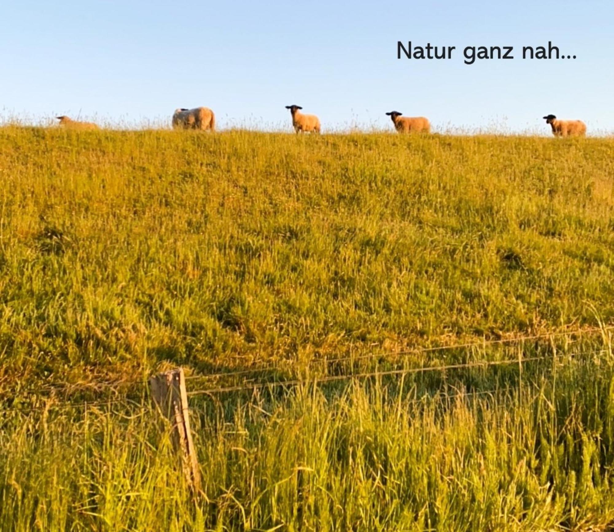 شقة Landliebe شتاين المظهر الخارجي الصورة